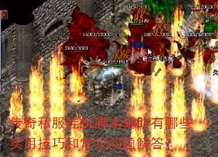 传奇私服挂机脚本辅助有哪些实用技巧和常见问题解答? 传奇私服挂机脚本辅助有哪些实用技巧和常见问题解答?