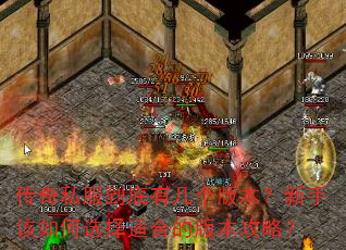 传奇私服到底有几个版本?新手该如何选择适合的版本攻略? 传奇私服到底有几个版本?新手该如何选择适合的版本攻略?