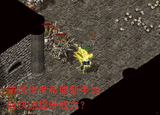��紫��˽��������ο�������ս����