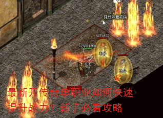 ���¿����浥ְҵ��ο�������ս�������ֱؿ�����