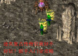 ��ʧ���Ŵ��澿���ò����棿��������ȫ����
