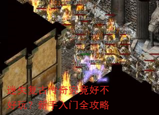 ��ʧ���Ŵ��澿���ò����棿��������ȫ����