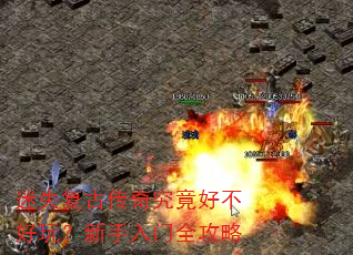 ��ʧ���Ŵ��澿���ò����棿��������ȫ����