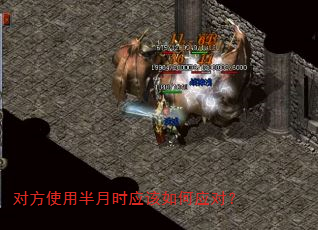 对方使用半月时应该如何应对? 对方使用半月时应该如何应对?
