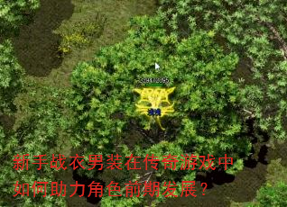 新手战衣男装在传奇游戏中如何助力角色前期发展? 新手战衣男装在传奇游戏中如何助力角色前期发展?