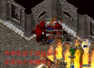 传奇私服手游技能书获取地点有哪些? 传奇私服手游技能书获取地点有哪些?