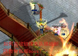 如何高效组建主队挑战新区传奇私服boss? 如何高效组建主队挑战新区传奇私服boss?