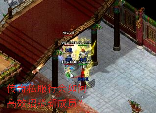 传奇私服行会如何高效招揽新成员? 传奇私服行会如何高效招揽新成员?