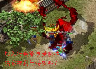加入行会能享受哪些独家福利与特权呢? 加入行会能享受哪些独家福利与特权呢?
