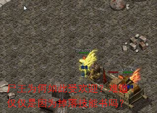 尸王为何如此受欢迎?难道仅仅是因为掉落技能书吗? 尸王为何如此受欢迎?难道仅仅是因为掉落技能书吗?