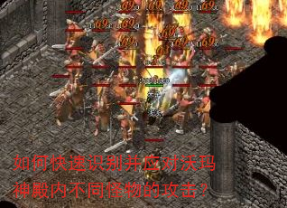 如何快速识别并应对沃玛神殿内不同怪物的攻击? 如何快速识别并应对沃玛神殿内不同怪物的攻击?