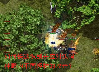 如何快速识别并应对沃玛神殿内不同怪物的攻击? 如何快速识别并应对沃玛神殿内不同怪物的攻击?
