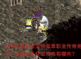 如何快速升级宠物蛋单职业传奇角色?顶级装备获取攻略有哪些? 如何快速升级宠物蛋单职业传奇角色?顶级装备获取攻略有哪些?