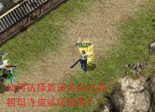 如何选择最适合自己的祖玛寺庙练级地图? 如何选择最适合自己的祖玛寺庙练级地图?